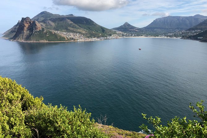 Guided Day Tour to Cape Point, Penguins and Wine Tasting - Memorable Wine Tasting Experience