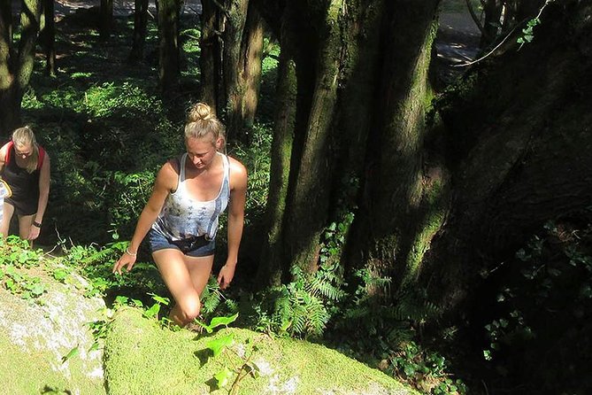 Guided Hike in Sintra-Cascais Natural Park, Lisbon - Tour Details and Inclusions