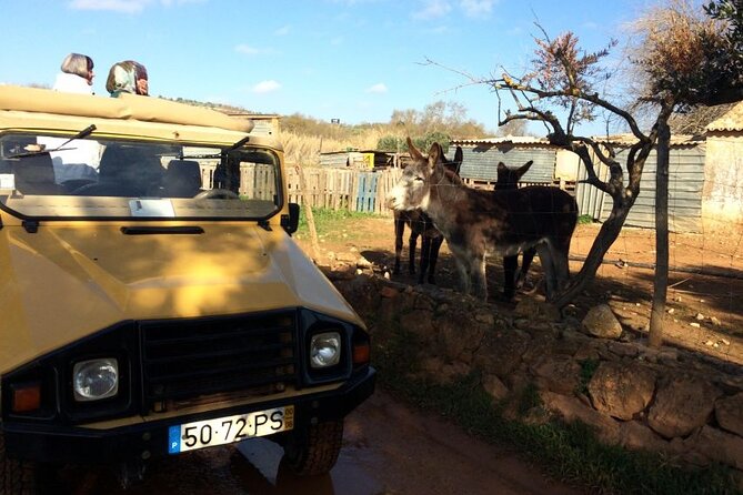 Half-Day Algarve Jeep Safari Sunset Tour - Customer Reviews and Feedback