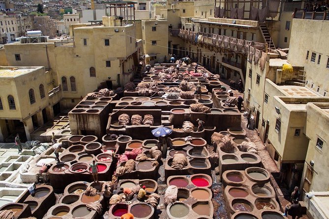 Half Day In Fez Medina With - Tour Guide - Tour Reviews