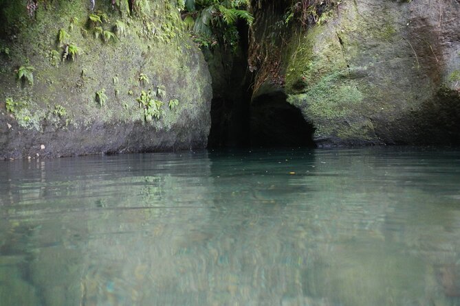 Half Day Jeep Safari - Island Waterfall and Tropical Forest