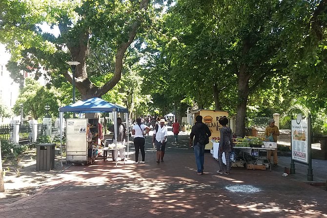 Half-Day Tour of Cape Town City - Duration and Schedule