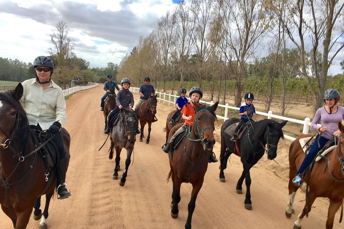 Half Day – Wine Tasting Horse Trail - Suitable for All Skill Levels