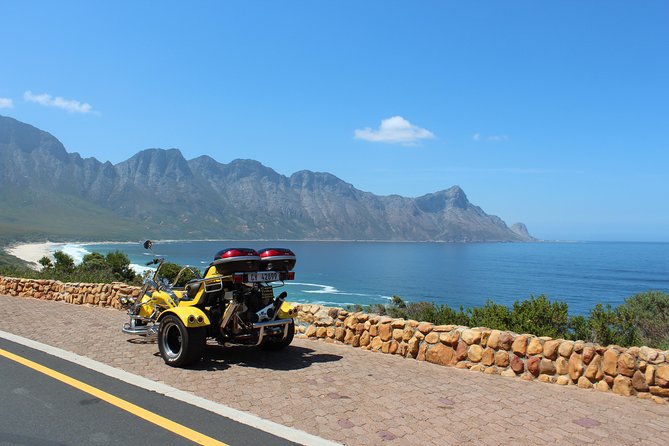 Hermanus and Whale Route Trike Tour From Cape Town - Reviews From Travelers
