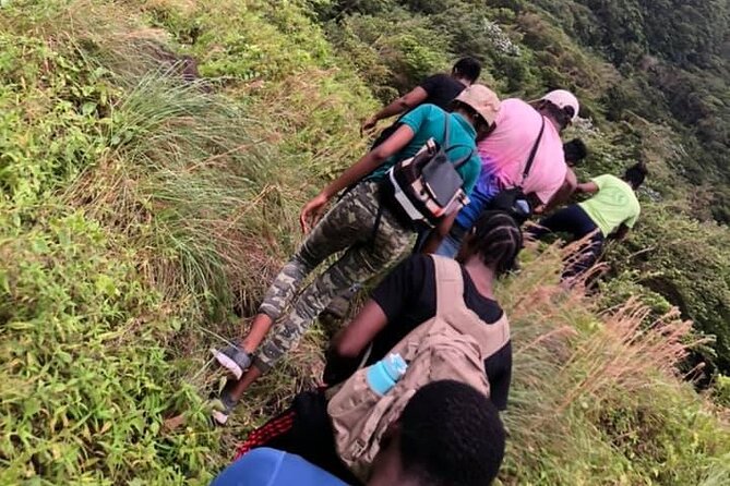 Hiking in Mount Liamuiga (Volcano) - Traveler Photos and Reviews