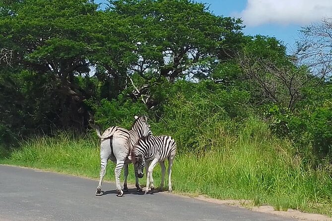 Hluhluwe Imfolozi Park And Isimangaliso Wetlands Park .st Lucia - Common Questions