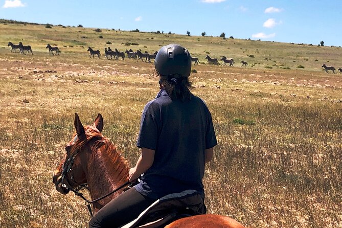 Horse Safari & Beach Ride Western Cape - Traveler Photos