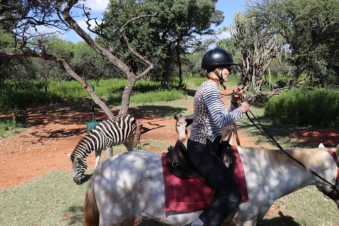 Horseback Safari Adventure in Hartbeespoort From Johannesburg - Safety Tips for Horseback Safari in Hartbeespoort