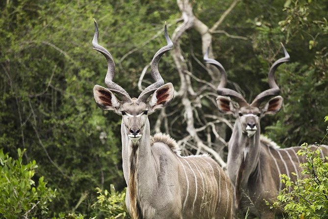 Horseback Safari - Cancellation Policy and Refund Options