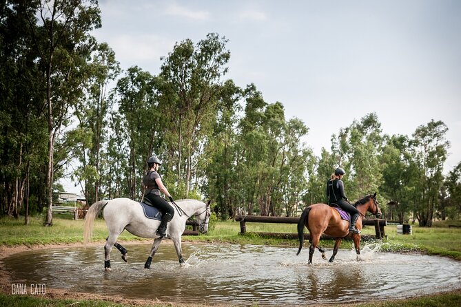 Horseback Small-Group Trail Rides in Muldersdrift - Common Questions