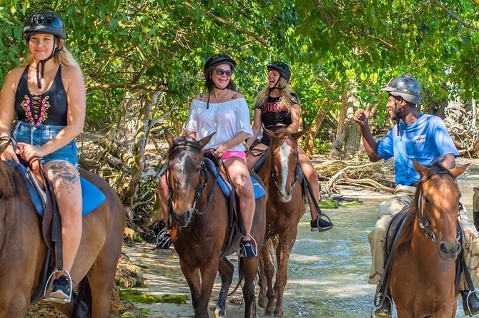 Horseback Swimming Excursion  - Jamaica - Reviews and Pricing