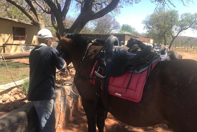 Horseriding Safari Day Tour From Johannesburg - Weather Policy and Alternative Options