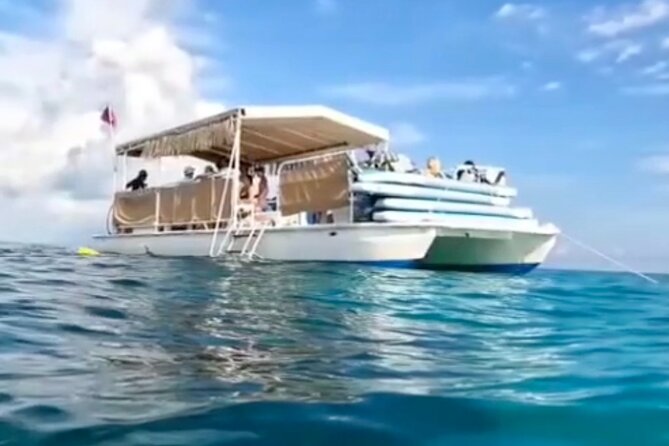 Islamorada: 2-Hour Snorkeling Adventure on Pontoon - Questions and Pricing Information