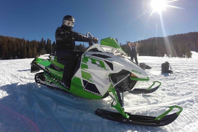 Jackson Hole Half-Day Small-Group Dogsled and Snowmobile Tour - Additional Information