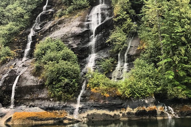 Ketchikan Whale Watching and Nature Tour - What to Expect and Additional Info