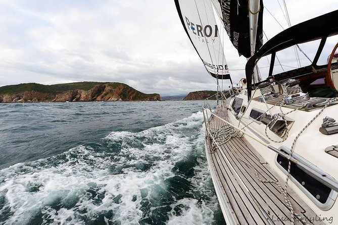 Knysna Day Sail & Lunch Charter 2.5 Hour - Traveler Photos