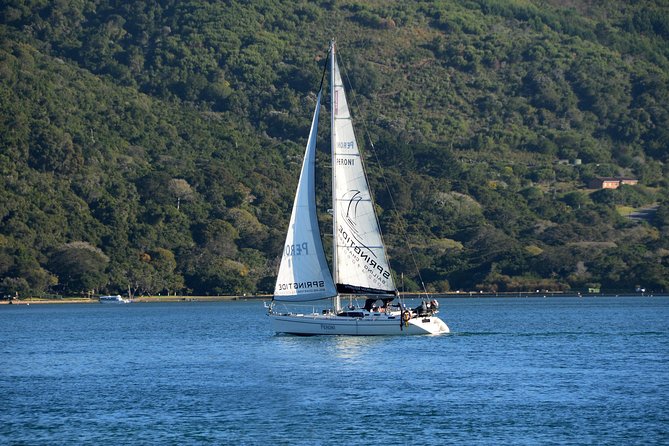 Knysna Day Sailing Cruise 1.5 Hour - Meeting Point and Departure Information