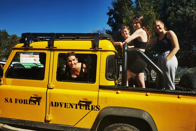Knysna Small-Group Zipline Tour  - Plettenberg Bay - Traveler Reviews