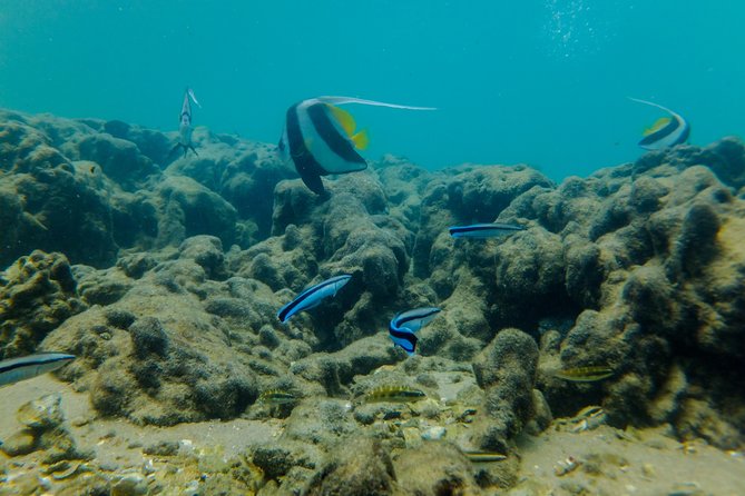 Kosi Bay Mouth Experience - Kayaking, Snorkeling, Fish Trap Tour and Fish Braai - Customer Support