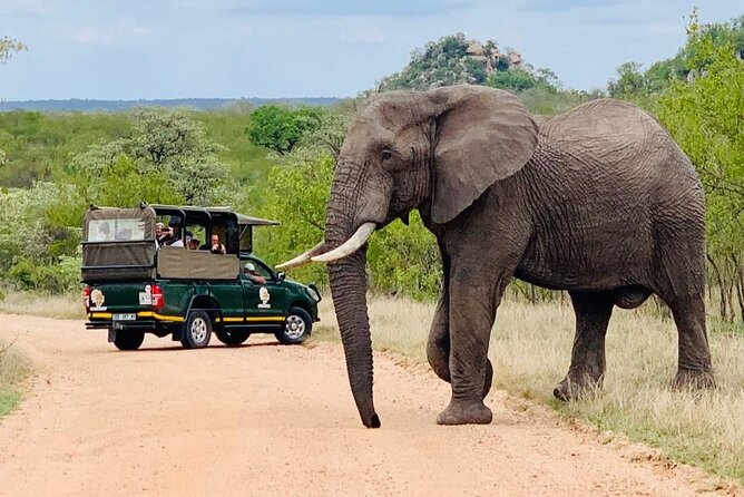 Kruger National Park Full Day Private Safari - Meeting and Pickup