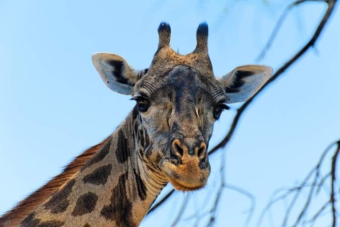 Kruger National Park Full Day Tour Minimum 2people - Helpful Reviews and Recommendations