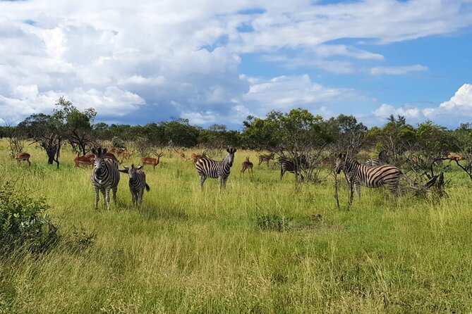 Kruger National Park & Panorama Route From Johannesburg 3 Days & 2 Nights - Accommodation Options