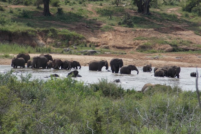 Kruger National Park - Private 3 Day, 2 Night Safari Trip. - The Sum Up