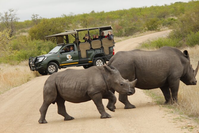Kruger National Park Sunrise Morning Private Safari - Cancellation Policy