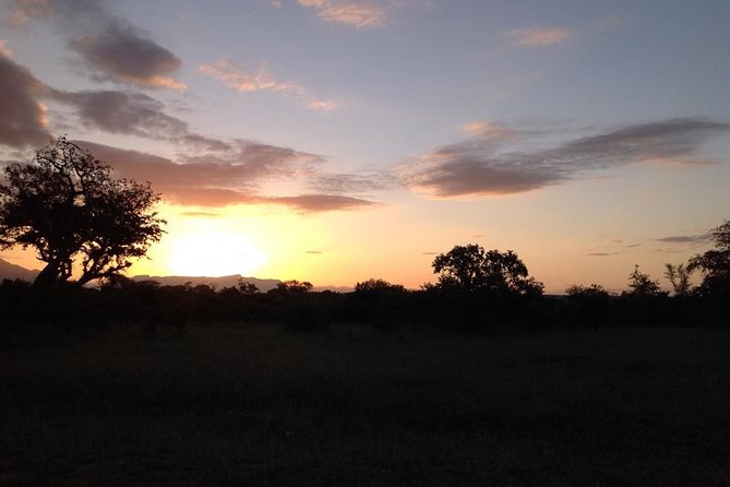 Kruger Park Safari: Guided Day Tour From Nelspruit - Testimonials