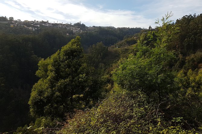 Madeira: Private Camacha Levada Do Tornos Walk - Tips for Enjoying the Private Walk Experience