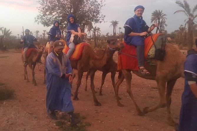 Marrakech Camel Safari at Agafay Desert - Indulge in Traditional Moroccan Mint Tea