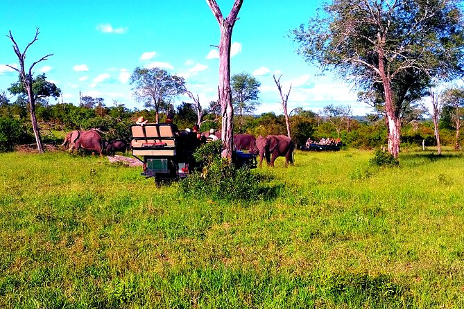 Moholoholo Wildlife Encounter & Sunset Safari - Additional Information