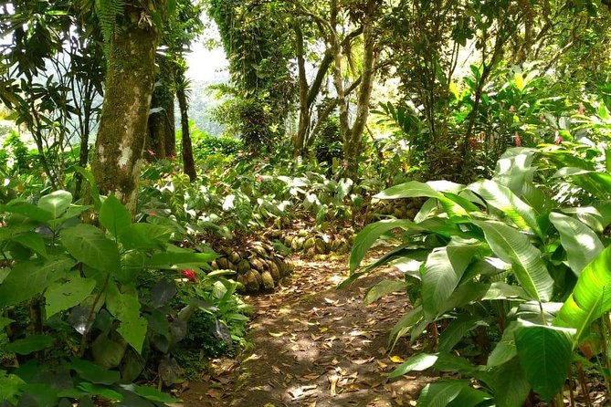 Montreal Gardens Tour in St. Vincent  - Kingstown - Pricing and Tour Information