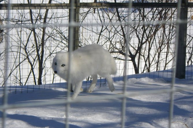 Montreal ZOO, Private Half Day Tour - Directions