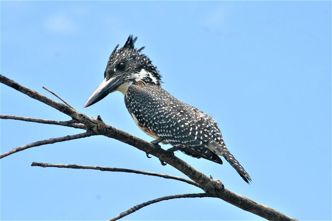 Morning Kruger National Park Safari - Cancellation Policy