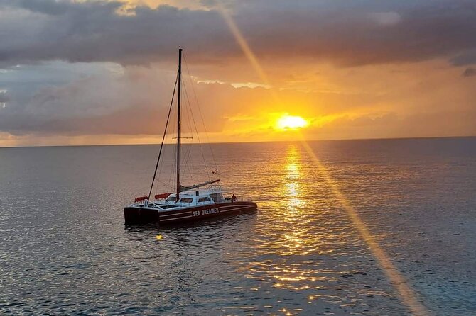Negril 7 Miles Beach and Ricks Cafe Tour - Pricing and Booking Information