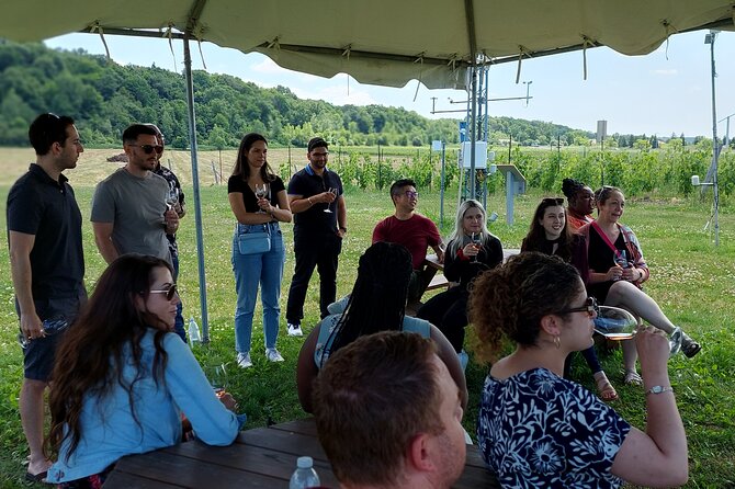 Niagara Wine Country Half-Day Wineries Tour With Tastings  - Niagara Falls & Around - Tour Highlights