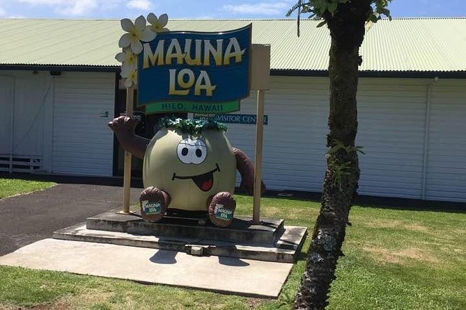 Oahu to Big Island 1 Day Trip : Volcano Tour From Oahu With Air Ticket - Reviews and Pricing