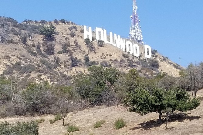 One Hour Private VIP Hollywood Tour - Reviews and Feedback