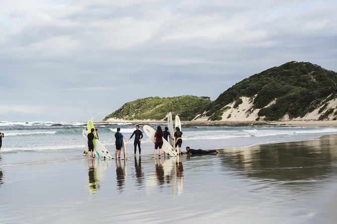 One-Way Hop-On Hop-Off Bus From Port Elizabeth to Cape Town - Cancellation Policy and Reviews