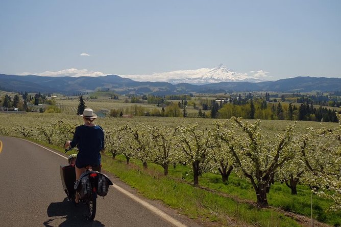 Oregon Columbia River Gorge Private Bike and Drinks Tour  - Portland - The Sum Up