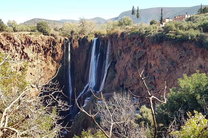 Ouzoud Waterfalls Day Trip From Marrakech With Boat Trip! - Positive Feedback and Reviewer Experiences
