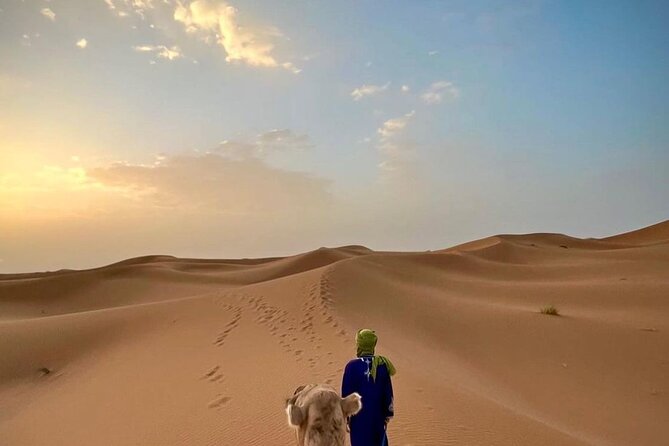 Overnight Desert Camp - The Sum Up