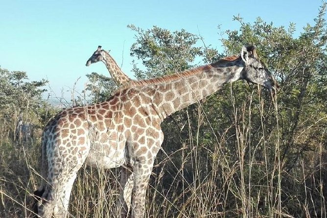 Overnight Kruger National Park Classic Camping Safari - Accommodation and Facilities