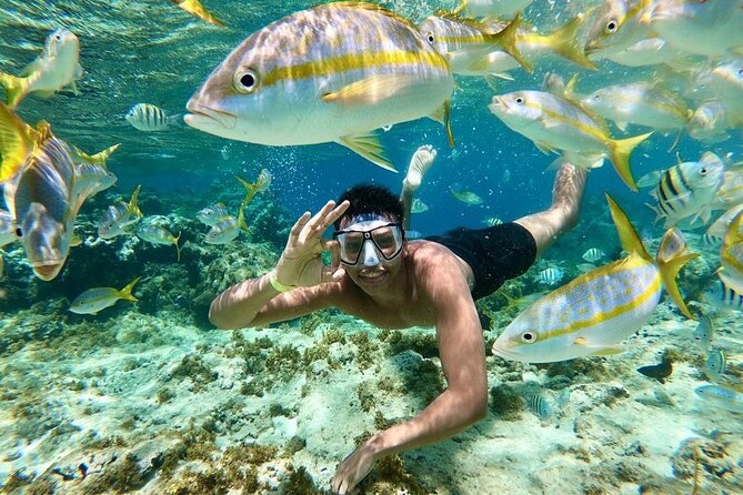 Paradise Island Puerto Plata - The Sum Up