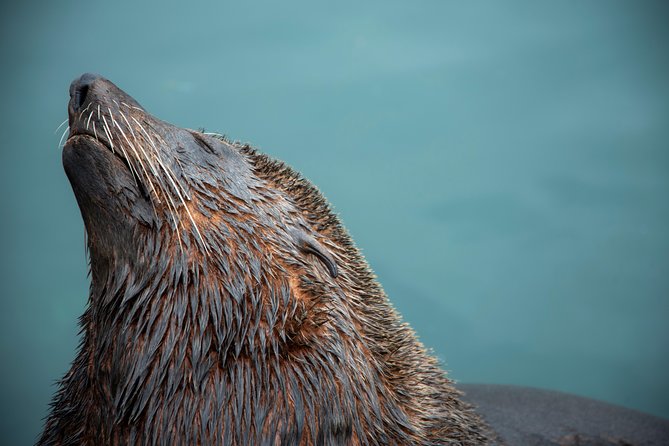 Peninsula Photography Tour - Value and Experience