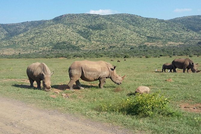 Pilanesberg National Park One-Day Safari From Johannesburg - Duration of the Safari Tour