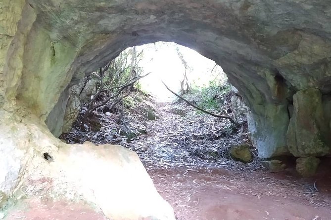 Planalto Da Mendiga - Private Nature Tour - Common Questions