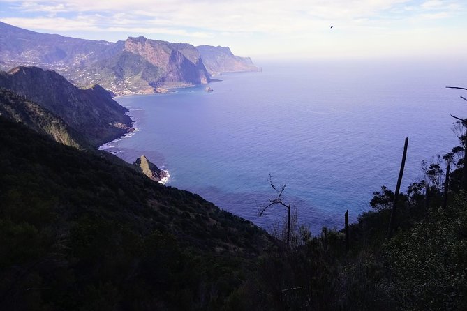Ponta De Sao Lourenco Private Hike From Funchal - Reviews and Ratings