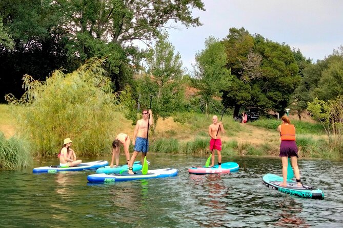 Porto Private Stand-Up Paddle River Tour With Pickup - Tour Photos